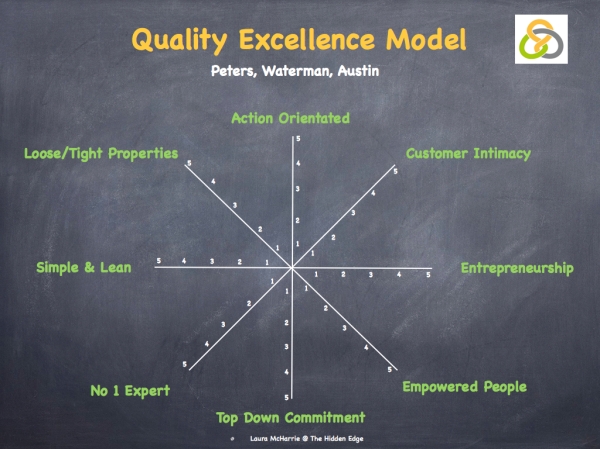 Quality Excellence Model.001