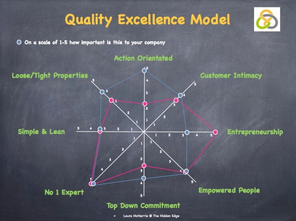 Quality Excellence Model image.001