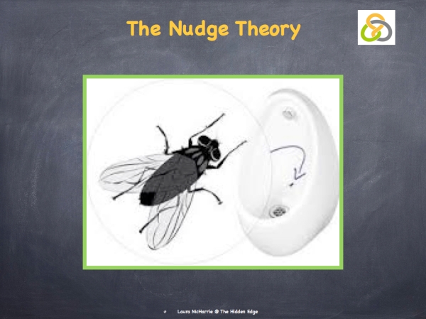 The Nudge Theory.002